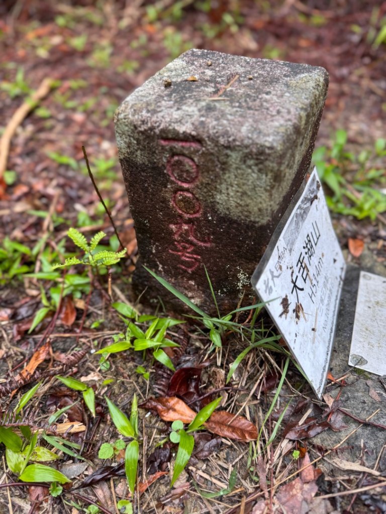 大舌湖山-漁光國小-茶園-虎寮潭吊橋封面圖