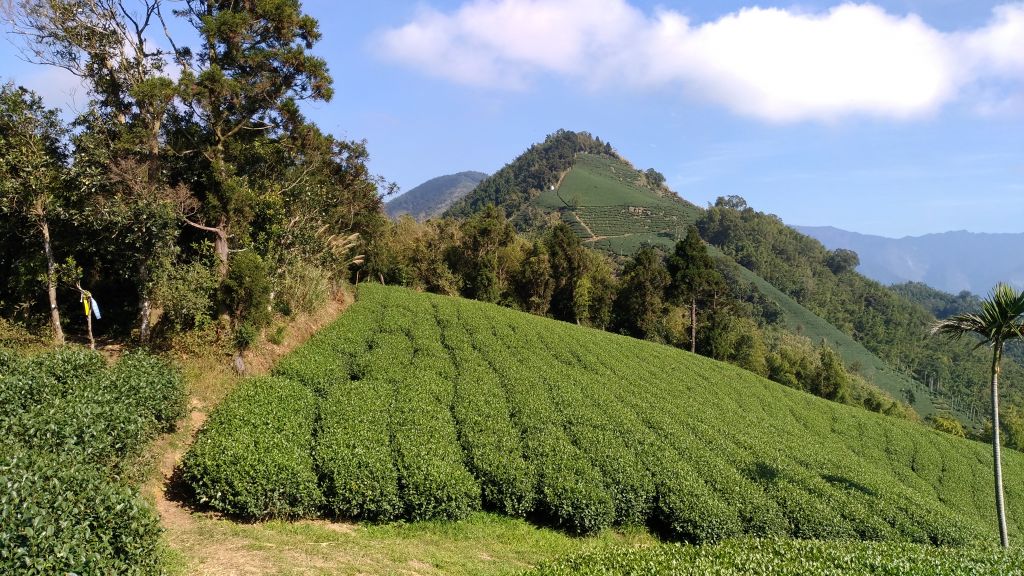 雲嘉五連峰_222249