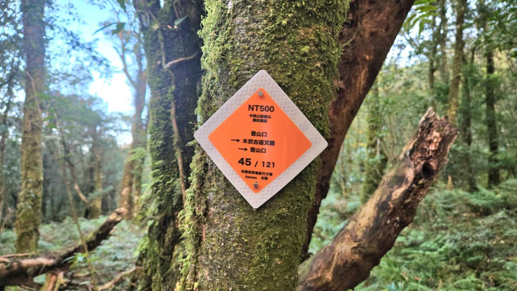 20251129逆走逐鹿卡保環型路線全段全紀錄_2949980