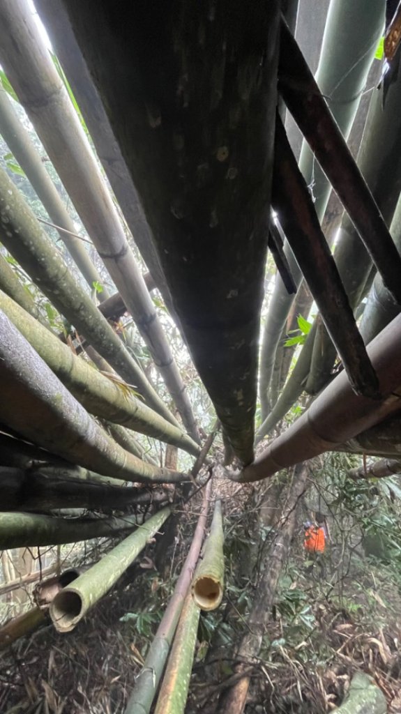 苗栗/馬那細道邦山-烏嘎彥竹林-水雲三星-鳥嘴山_2651585