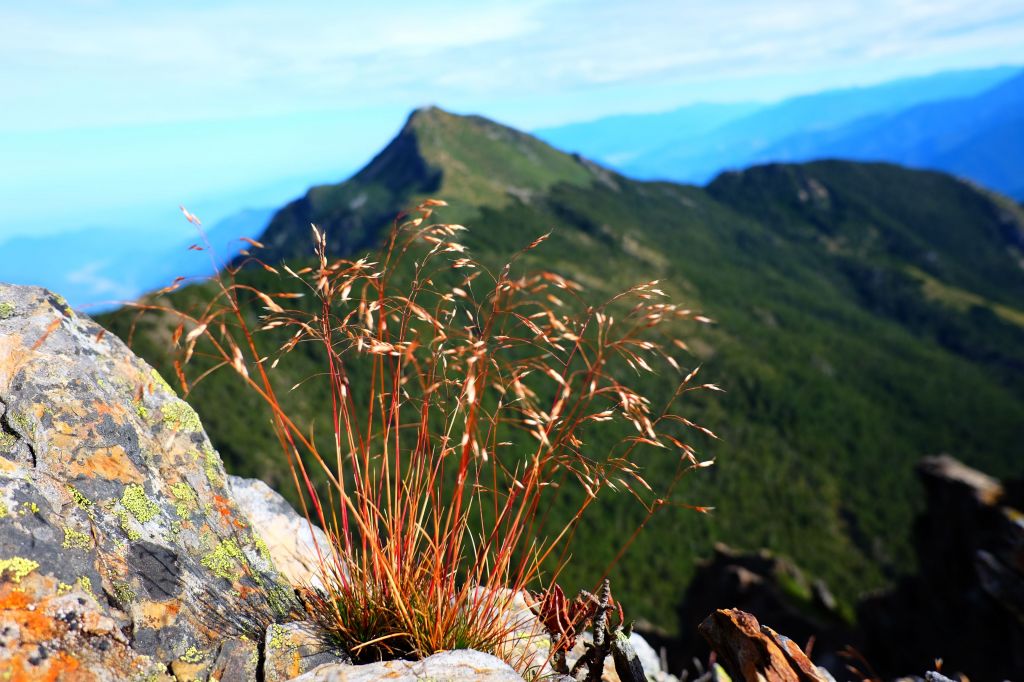 石頭堆疊成的百岳...玉山東峰_175806