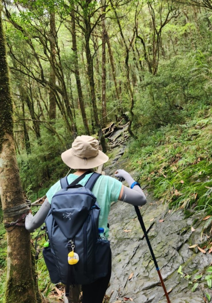 【中級山步道】十七歲少女之湖，松蘿湖_2745005