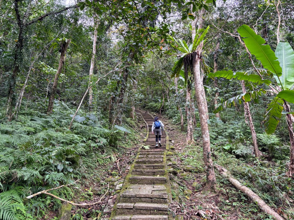 鯉魚山步道群_2728306