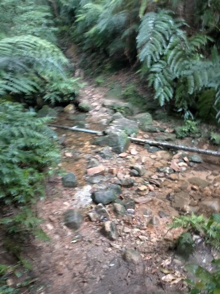 壹北大縱走第四段：風櫃嘴至大湖公園_2809581