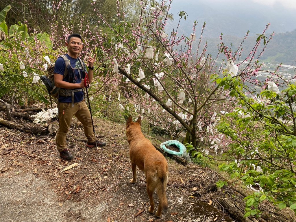 望鄉部落.獵人古道.望美山.瓊山【人與自然山林的恩怨情仇】_2731373