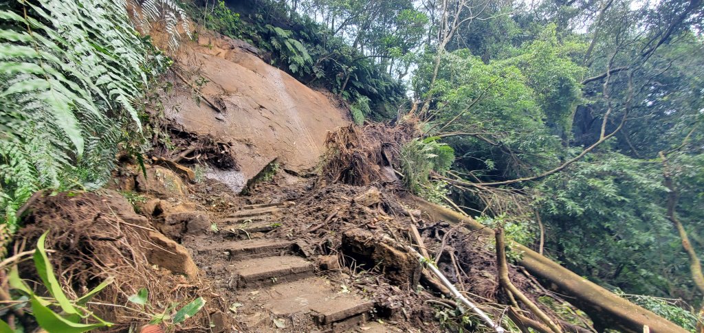 2024-11-23臺北大縱走第六段：中華科技大學至捷運麟光站_2653481