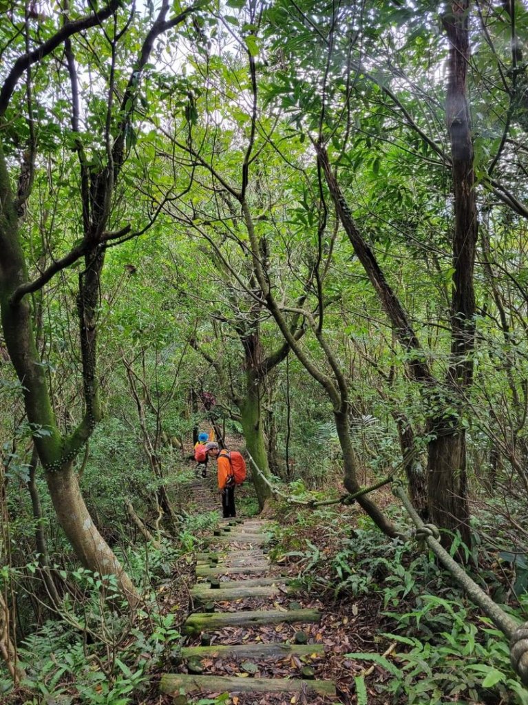 112.12.07 淡蘭古道（雙溪-十分）_2551550