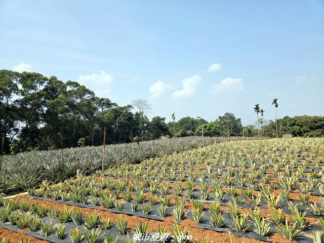 【彰化】員林藤山步道x田尾公路花園封面圖