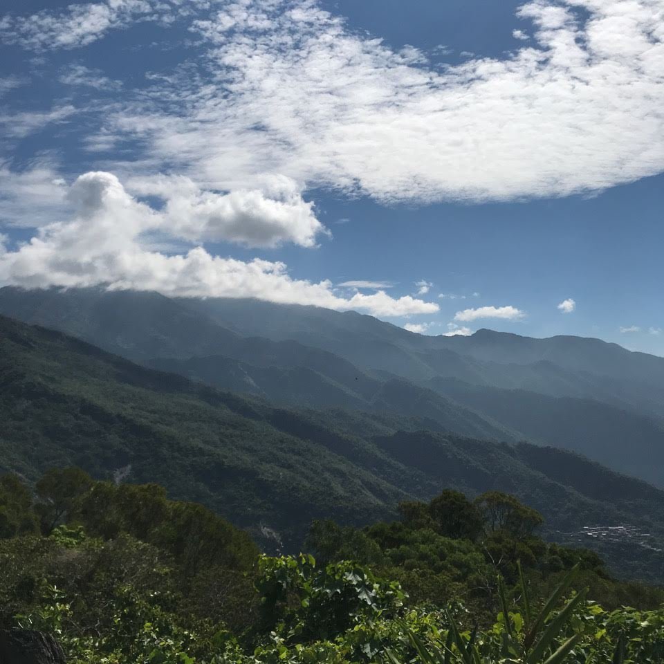 1090502德文山步道（觀望山）封面圖