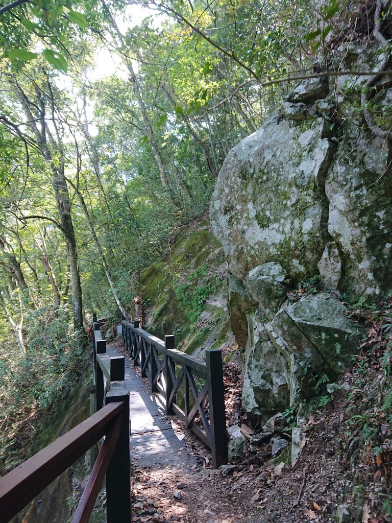 八仙山國家森林遊樂區_1477391