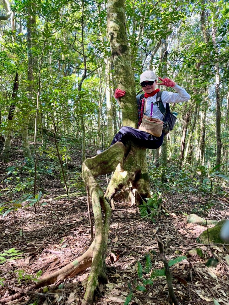 20251129逆走逐鹿卡保環型路線全段全紀錄_2950016