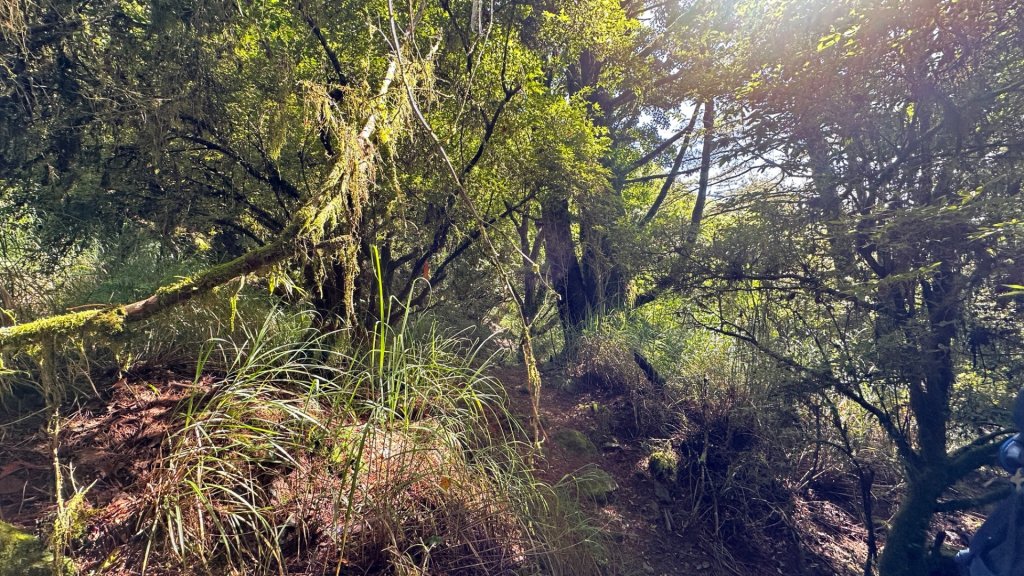 觀雪縱走_2836066