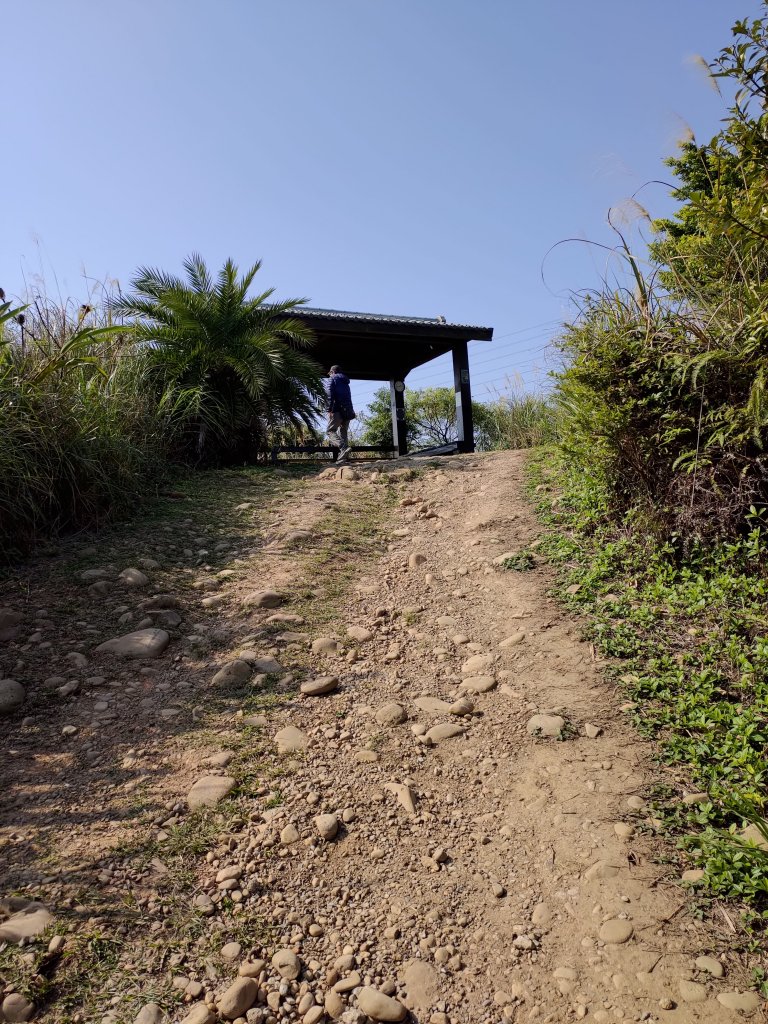 虎頭山大亂走_820186