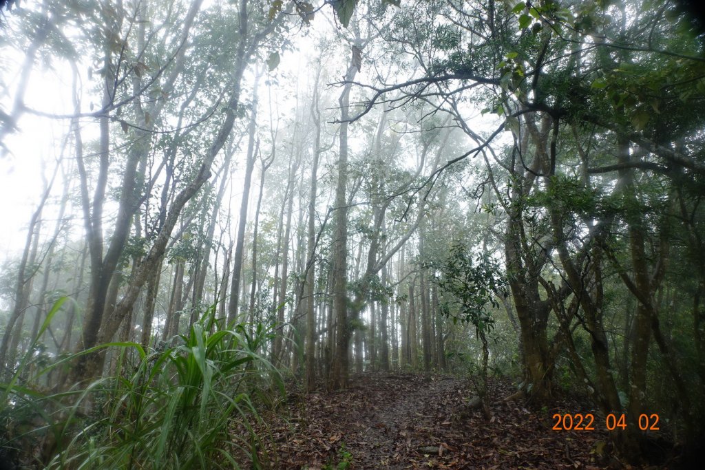 臺南 南化 刣牛湖山_1664331