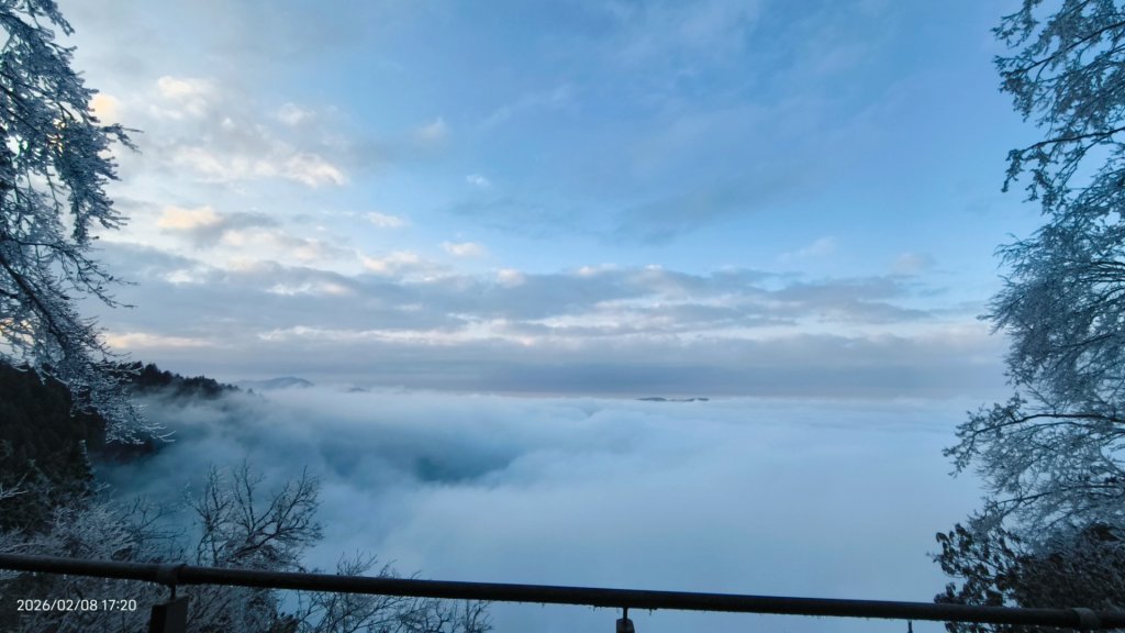 #霧淞 #雲海 #雲瀑 #霧虹 #太平山 #望洋山 #觀雲步道 #翠峰道路  2/8_2995314