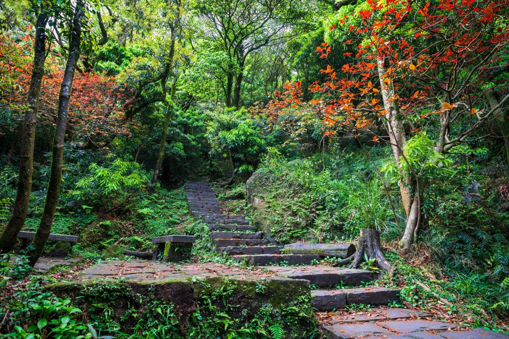 陽明山東段縱走封面圖