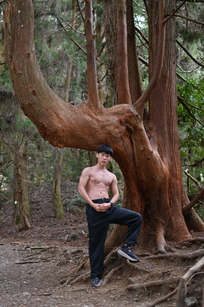 全家一起爬馬崙山順便上馬白稜線藏水 2024.3.28_2468262