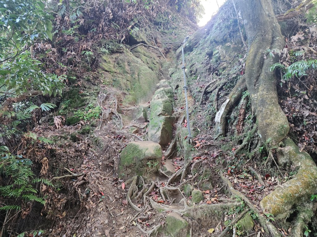 20240114指南宮站經猴山岳二格山鵝角格山至貓空站_2430788