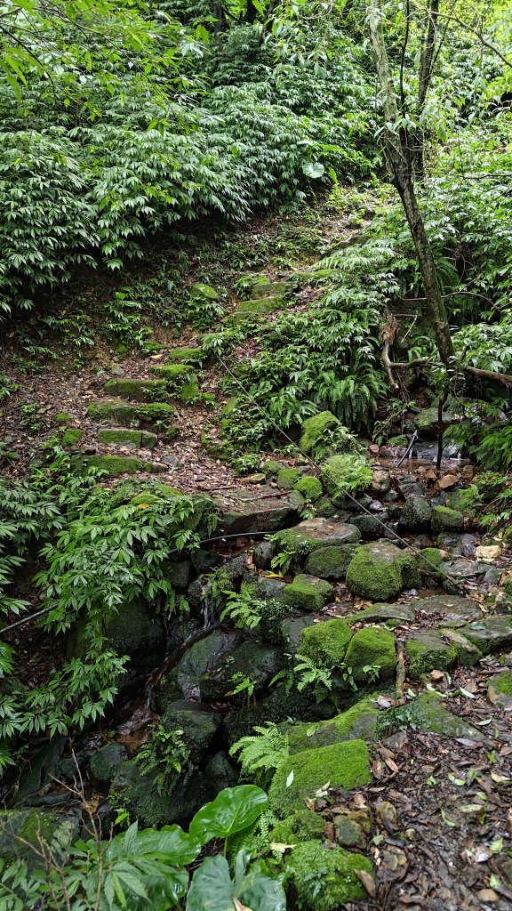 楊廷理古道_2814582