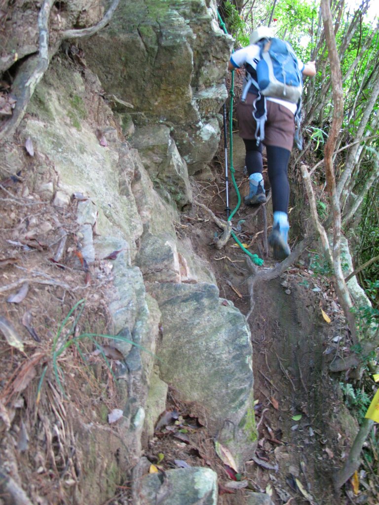 四壯士神木步道x阿冷山(北北峰)_787473