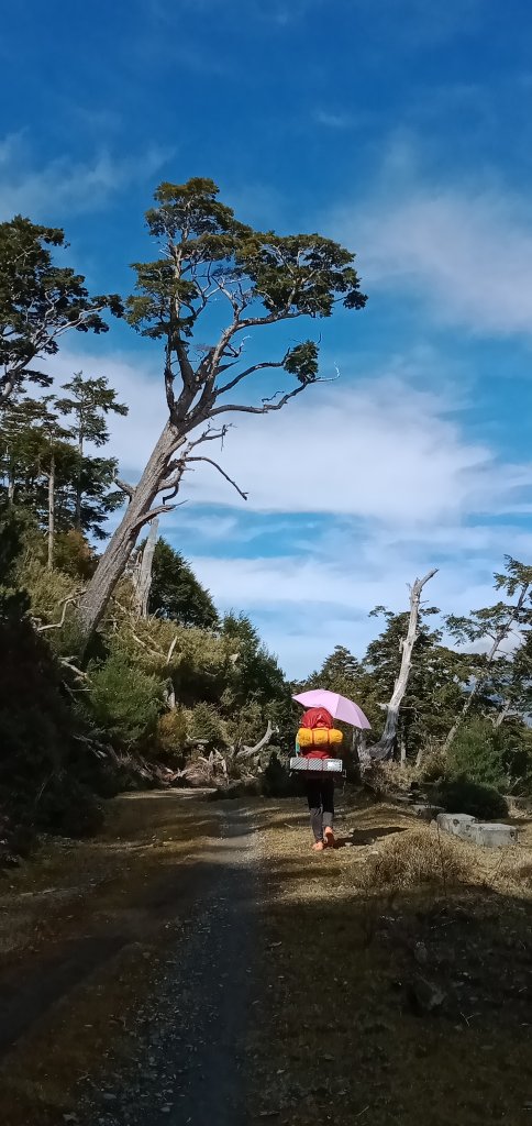 丹大林道走七彩六順_868917