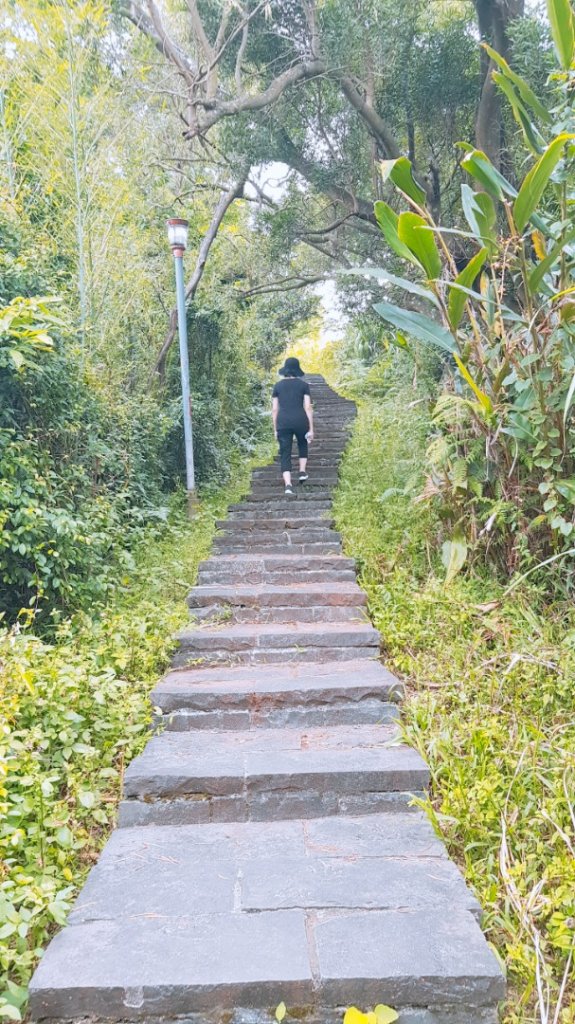 登高步道封面圖