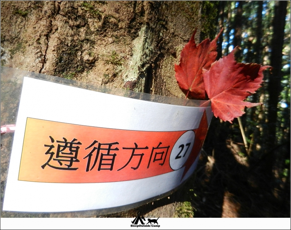 新竹五峰野馬瞰山森林步道_260266