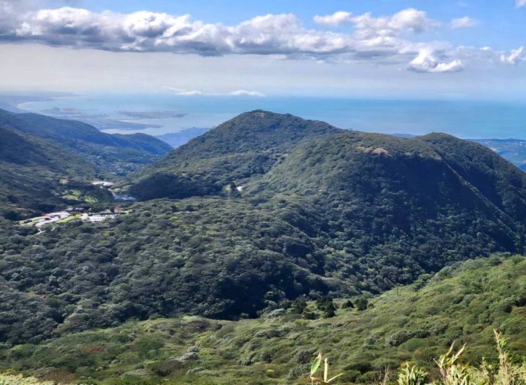 【中級山】台北版抹茶山竟然有免申請路線，小觀音山西峰單攻，順遊頂湖海芋步道，竹子湖黑森林_2742382
