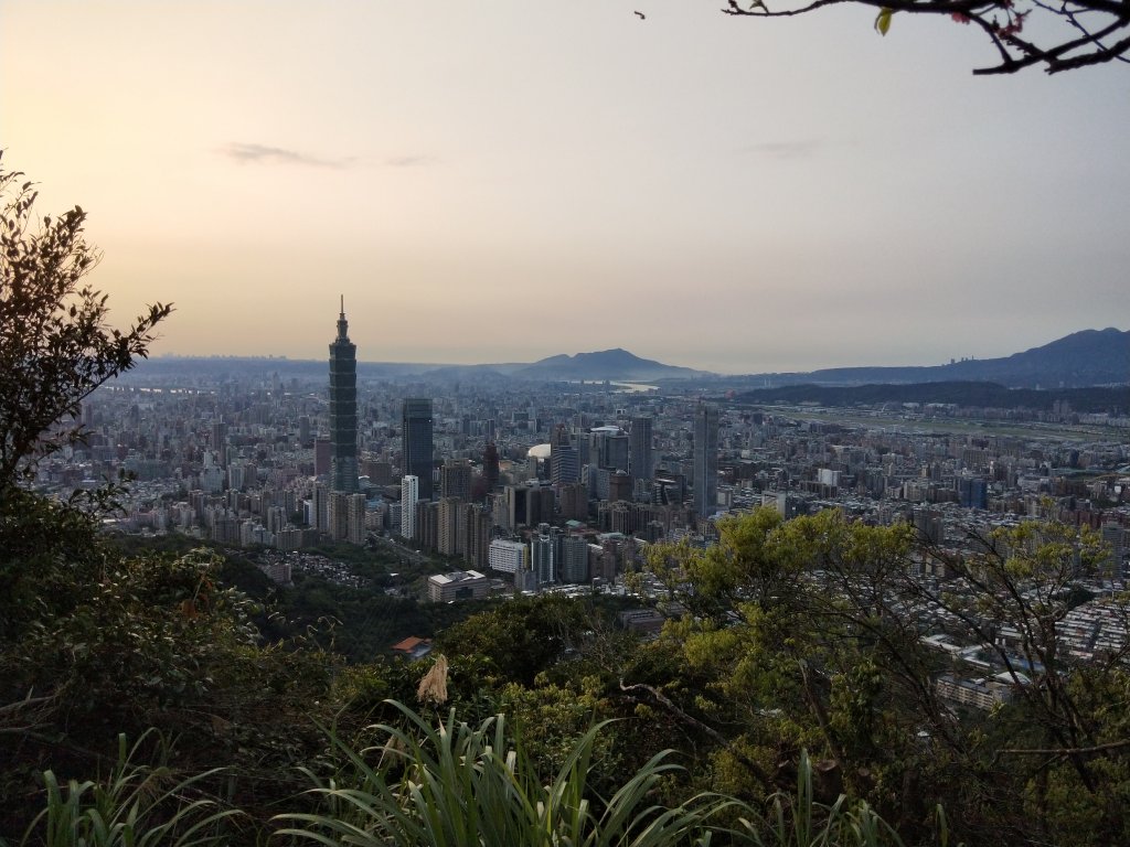 南港山縱走親山步道(拇指山、南港山、象山、九五峰)_1679343