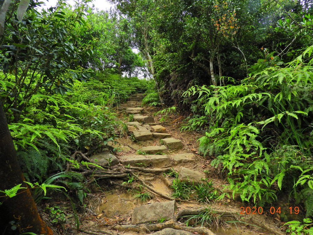 臺北 內湖 龍船岩、開眼山_924824