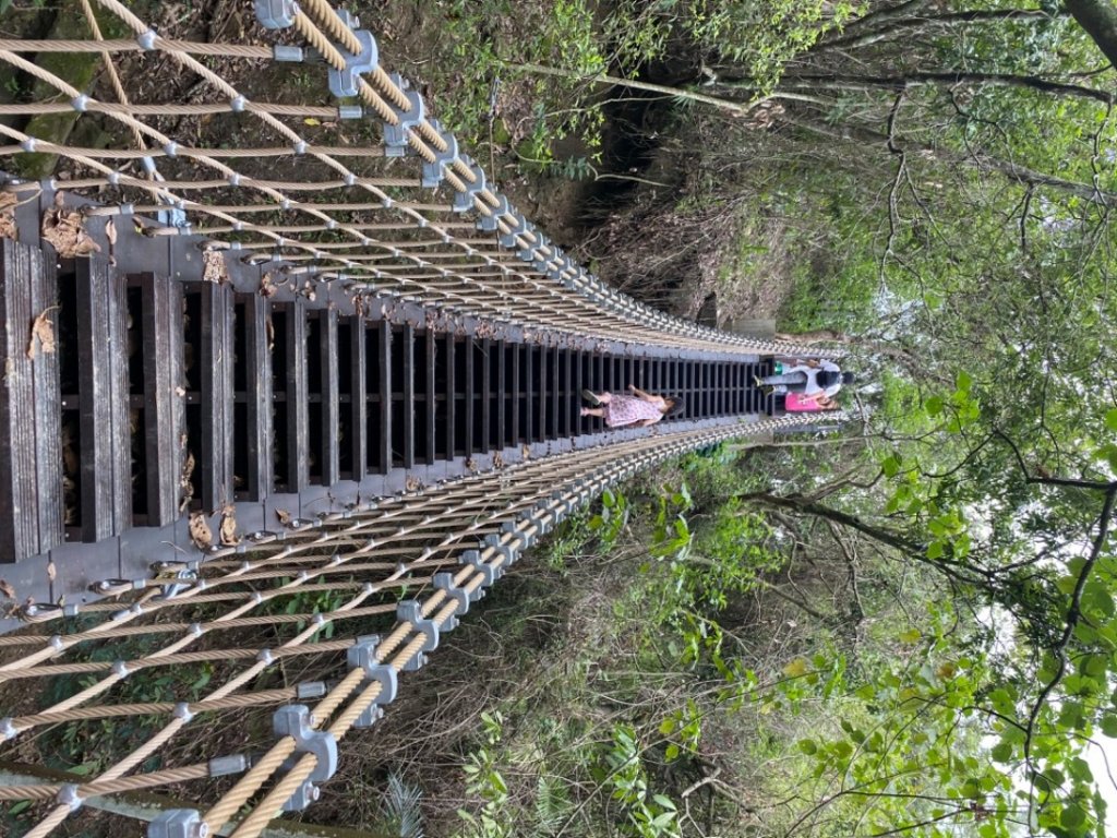 200524 貓仔們蝙蝠洞探險&草嶺步道_975813