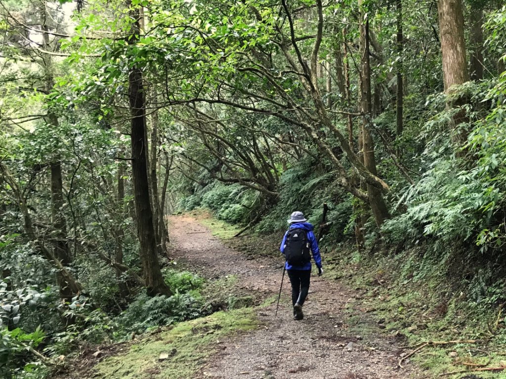 有咖啡香的太和山走坪溪古道_487788