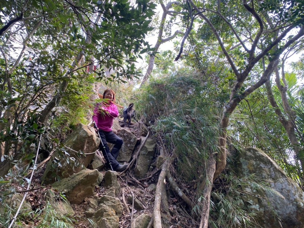 苗栗金童山、玉女山、汶水山_2672903