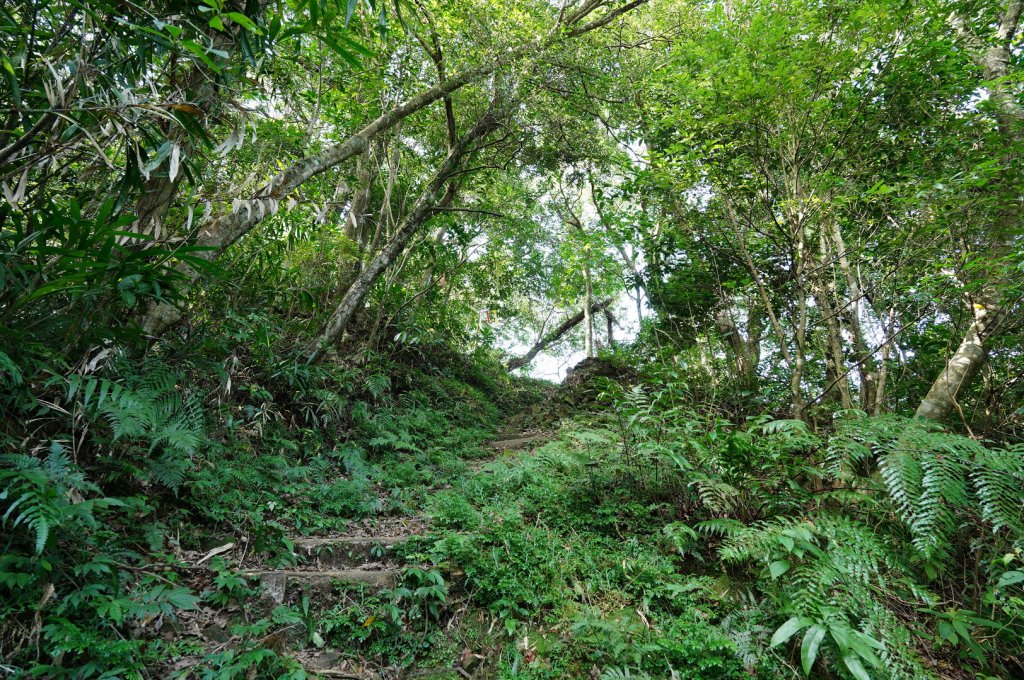 新北 坪林 東坑山、建牌崙、梳妝頂山、梳妝樓山_2405176