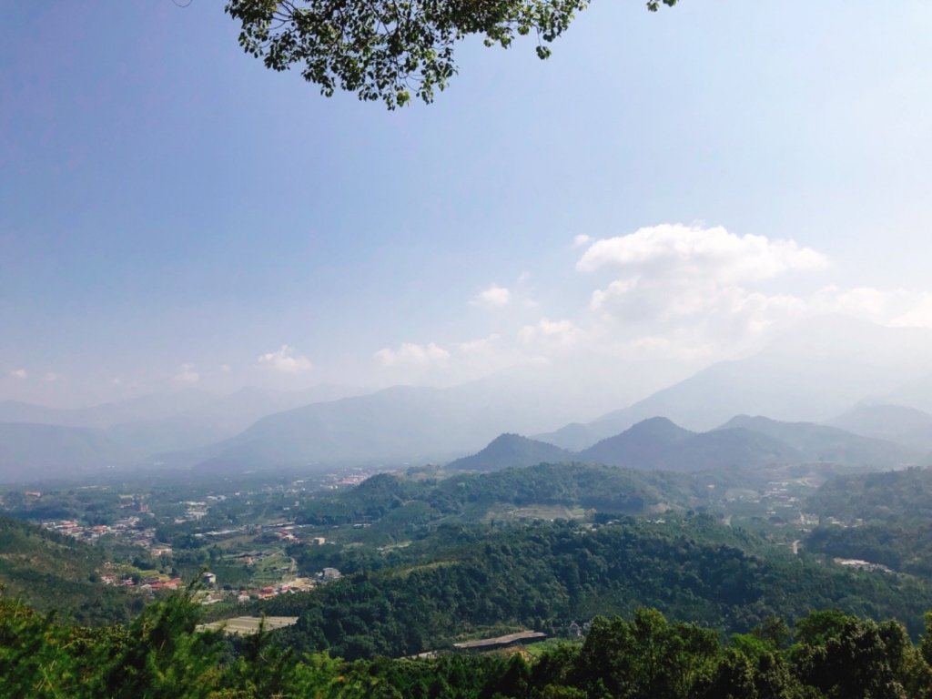 金龍山步道_465655
