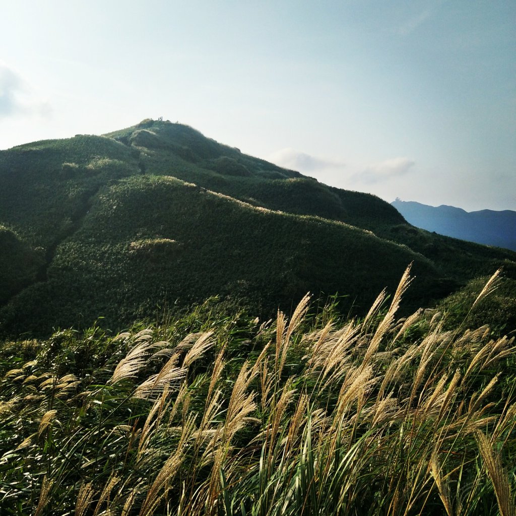 七星山主、東峰登山步道_1682185