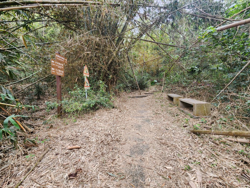 20250223田中大小劍與橫山_2939872