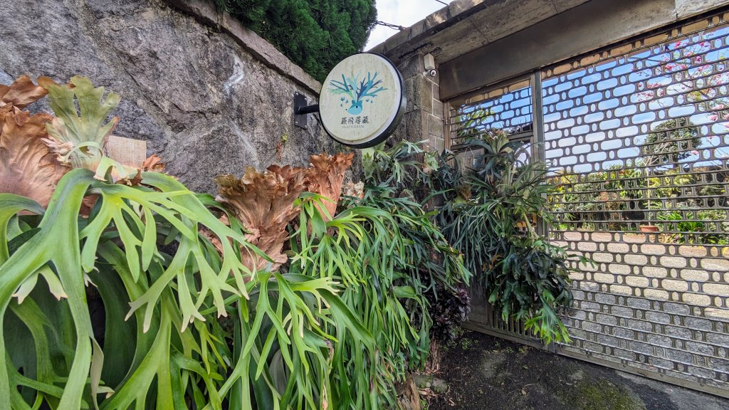 天元宮,楓樹湖,北新庄,淡水老街_2430287