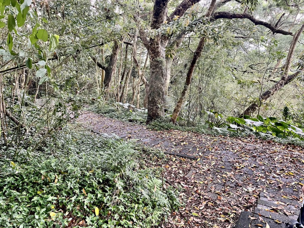 天母古道（水管路）_2650081