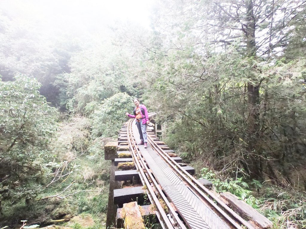 2023尋訪消失的眠月線聚焦失落沉寂的百年鐵道之旅_2109795