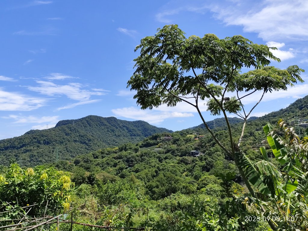 【臺北大縱走 7】2-1 樟山寺→樟樹步道→彩雲亭→相思炭窯→貓纜貓空站→指南路三段40巷_2881786