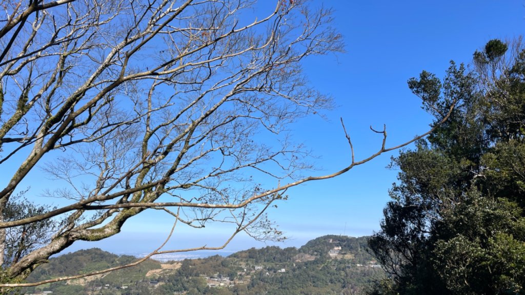 樟之細路-聖關段_2686804