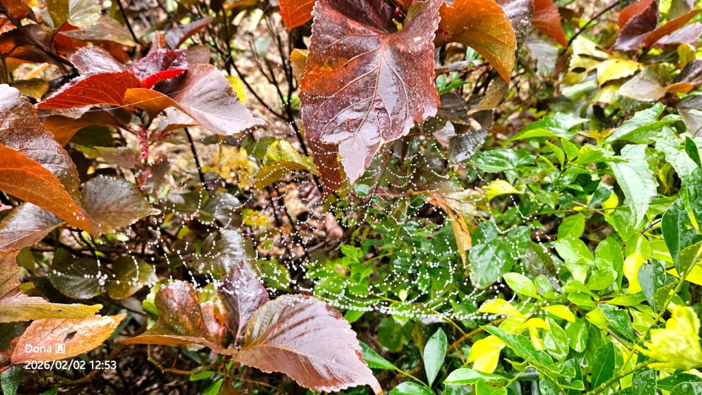 20260202徒步明德水庫大環湖_2992516