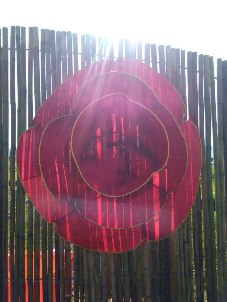 2019臺中新社花海搶鮮參觀_727439