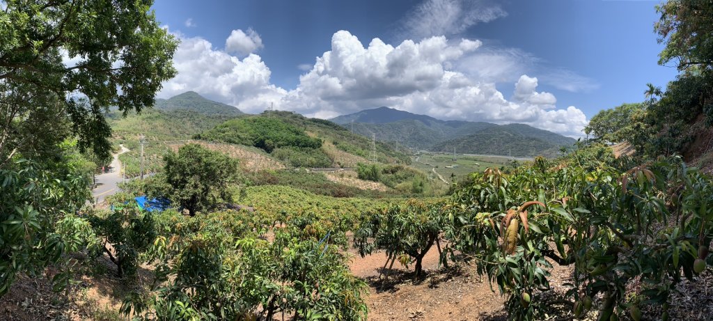 20250503屏東埔姜山東封面圖