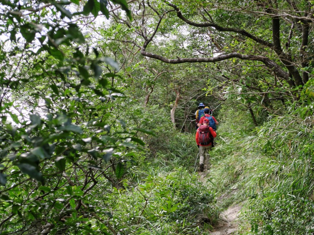 里龍山 悠遊山徑-溪谷-欣賞海天一色美景_1486151