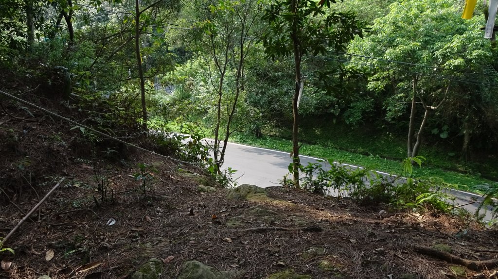 金龍湖到內湖石崁_2112464