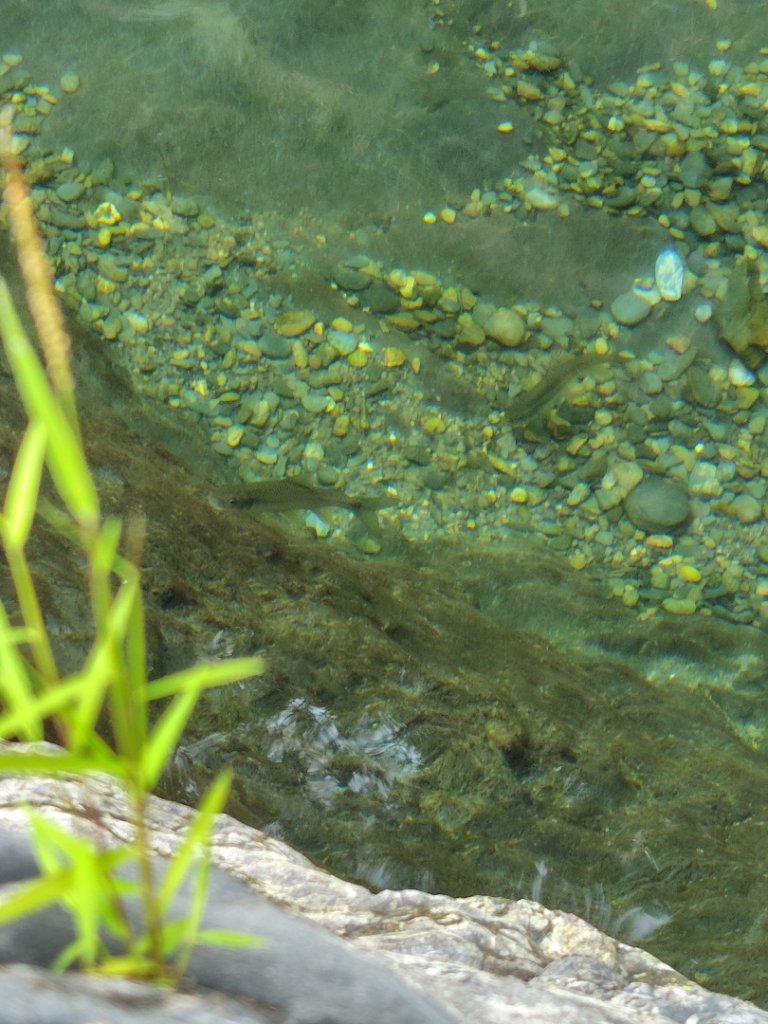 朝聖橋-射鹿部落-高燕部落-旗鹽山-排雲瀑布-沙拉灣瀑布_2771103