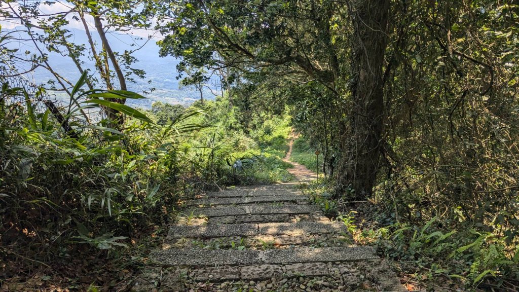 關刀山步道 (出關古道：聖關段)_2532849