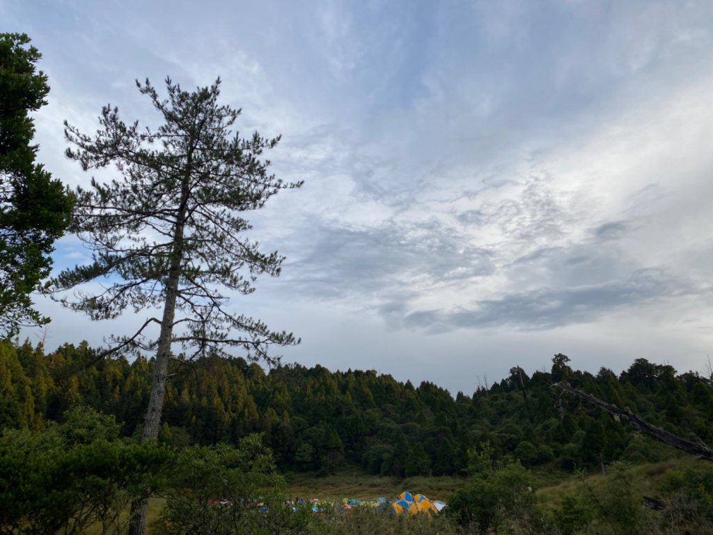 加羅湖。無與倫比的美麗與泥濘_1486352